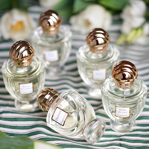 NATUR VERA LA GELÉE フェイスジェル 2個セット NATUR VERA LA GELÉE フェイスジェル 2個セット